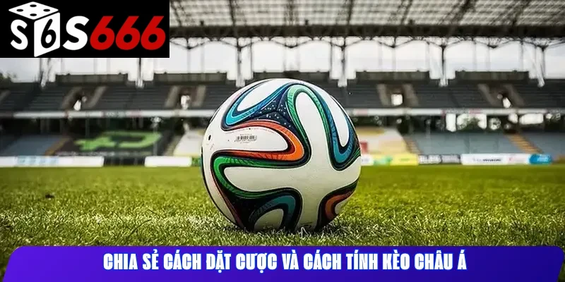 Chia sẻ cách đặt cược và cách tính kèo châu Á