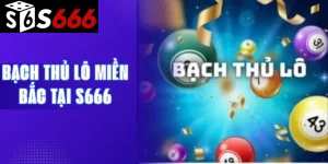 Bạch thủ lô Miền Bắc tại S666