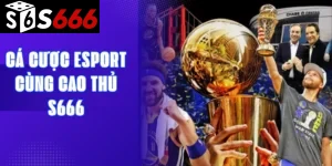 Cá cược Esport cùng cao thủ S666