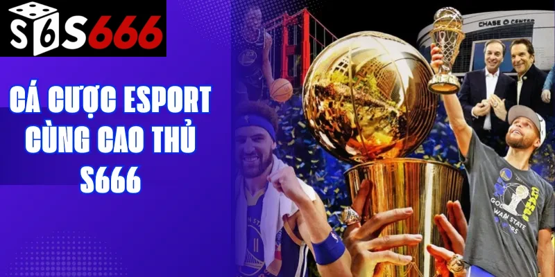 Cá cược Esport cùng cao thủ S666