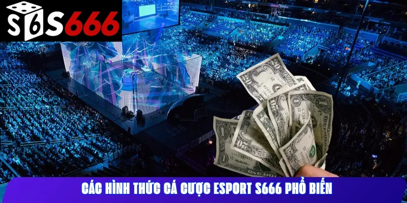 Các hình thức cá cược esport S666 phổ biến