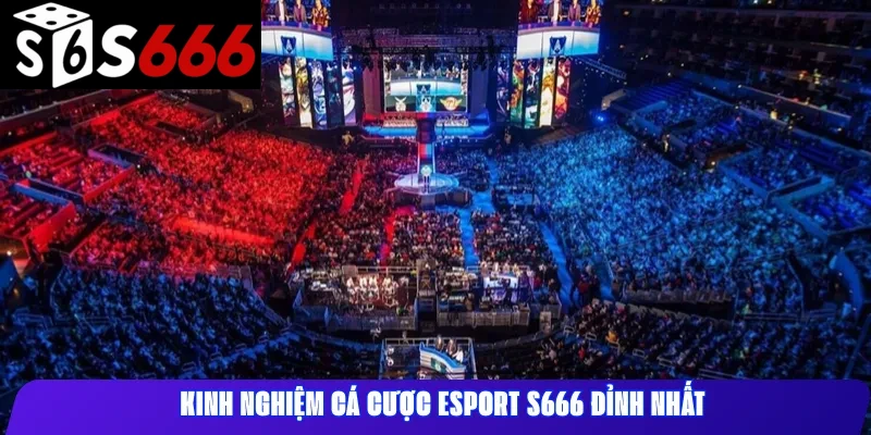 Kinh nghiệm cá cược esport S666 đỉnh nhất